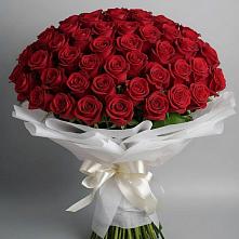 Букет 101 Красная роза Блэк Мэджик в Томари