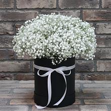 Цветочная композиция из Гипсофила в шляпной коробке в Томари
